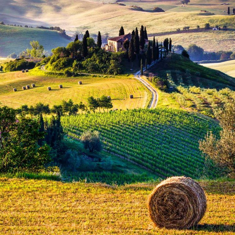 Toscana Toscana